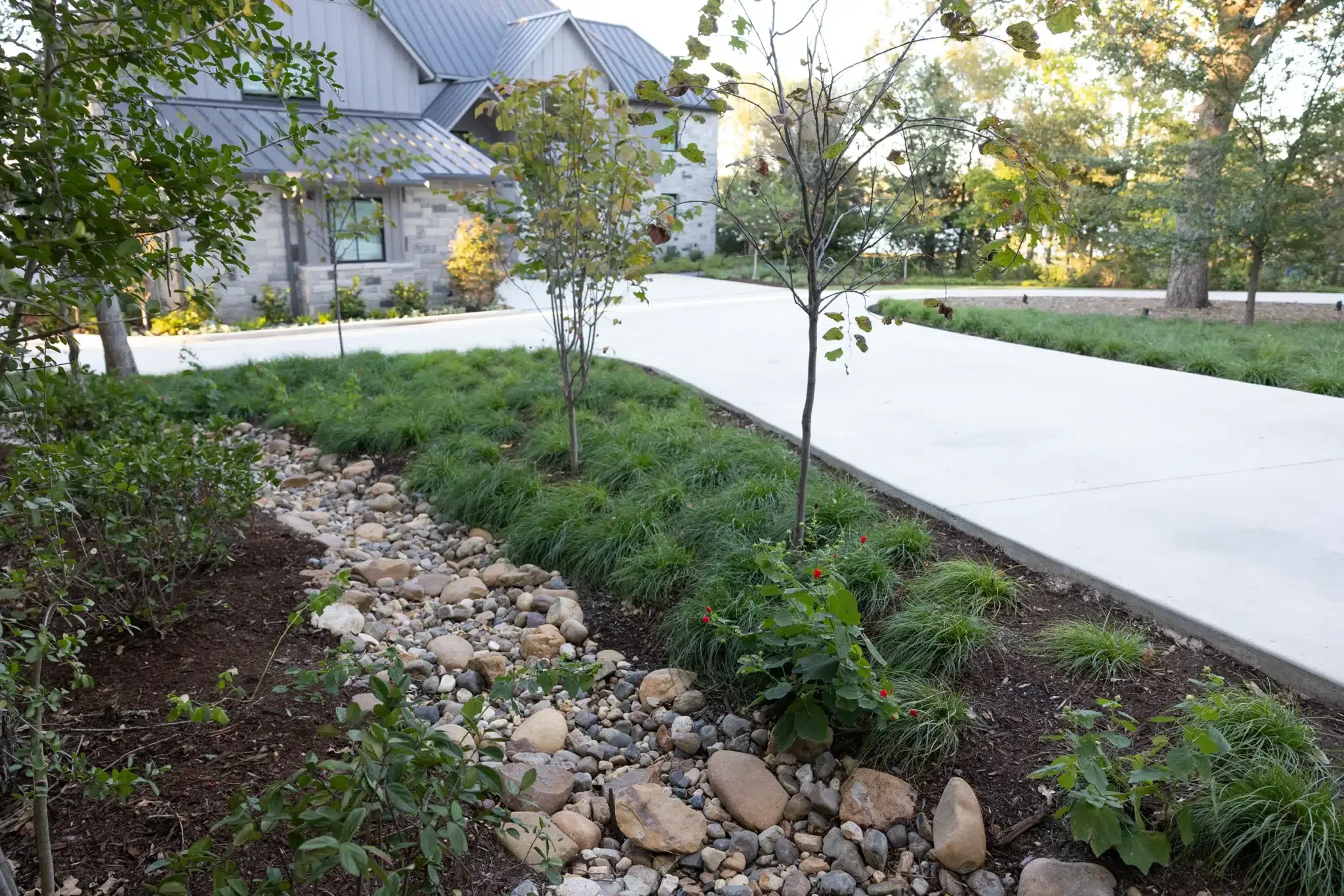 Drainage solution alongside a garden driveway for an East Texas landscape project