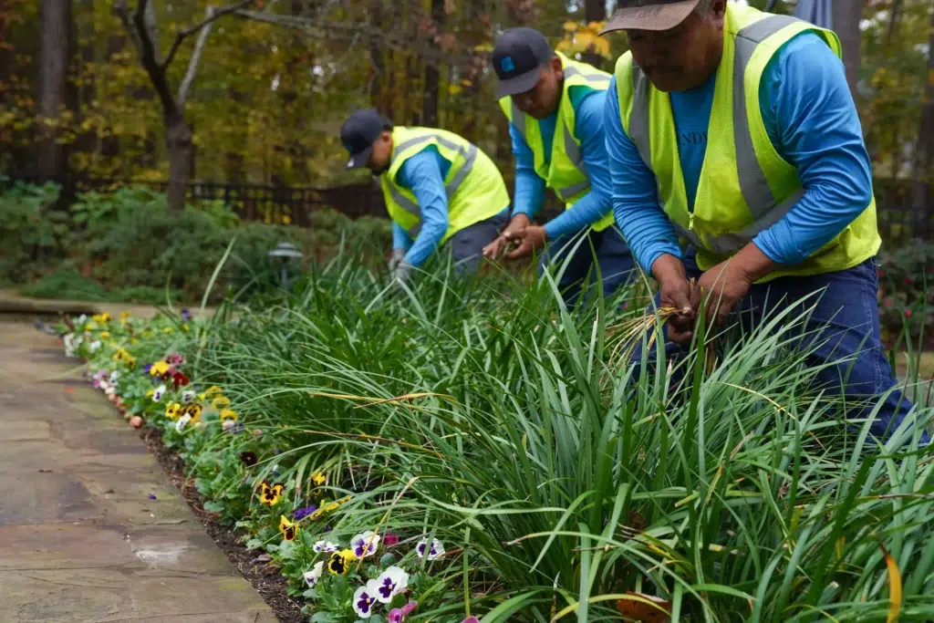 Expanded Maintenance Services in 2026